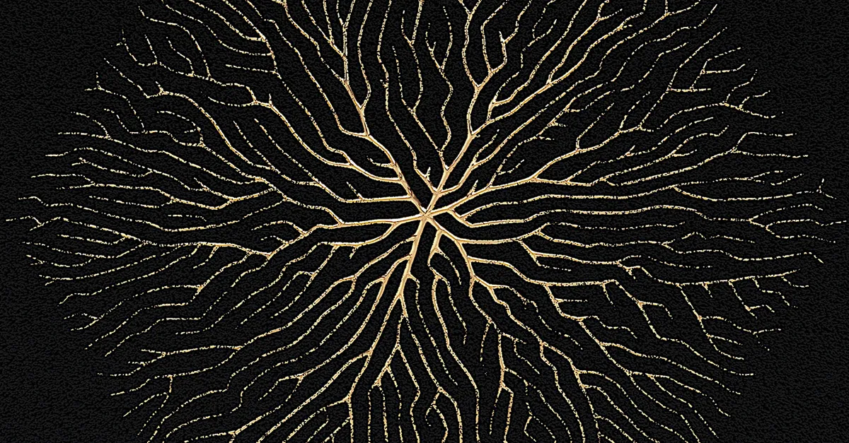 Découvrez en détail la Notation Grand O : performance et complexité algorithmique à travers des exemples concrets en Python.