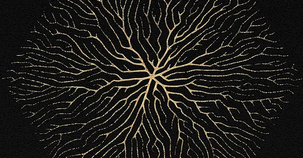 Comprendre la complexité algorithmique avec Big O. Cas O(1), O(log n), O(n), O(n²)… expliqués avec 7 algos en Python pour mesurer la performance.